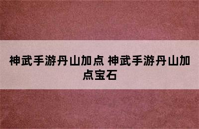 神武手游丹山加点 神武手游丹山加点宝石